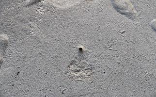 schöne aufnahmen des weißen strandsandes auf der paradiesinsel der seychellen mit fußspuren foto