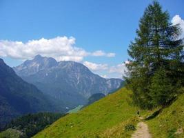 wunderschöne naturkulisse auf der kallbrunn alm, österreich foto