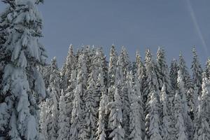 Winter Berglandschaft foto