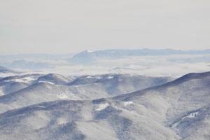 Wickler Landschaftsansicht foto