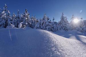 Wintersonnenaufgang mit frisch verschneiten Wäldern und Bergen foto