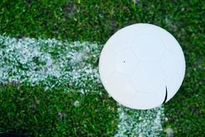 Fußball auf Gras am Tor und im Stadion im Hintergrund foto