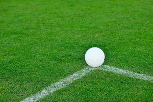 Fußball auf Gras am Tor und im Stadion im Hintergrund foto