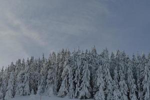 Winter Berglandschaft foto