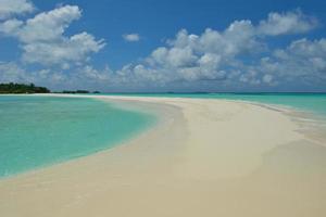 Blick auf den tropischen Strand foto