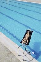 Schöne Frau am Pool entspannen foto