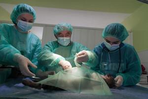 echte Bauchoperation an einer Katze in einem Krankenhaus foto