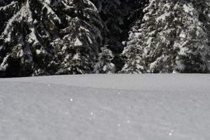 Winterschnee Hintergrund foto