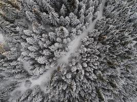 Blick auf die Winterlandschaft foto