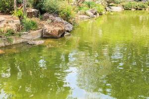 koi-fische in der dekorativen landschaftsgestaltung des gartenteichs foto