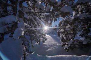 Wintersonnenaufgang mit frisch verschneiten Wäldern und Bergen foto