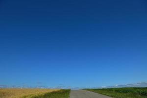 Weizenfeld mit blauem Himmel im Hintergrund foto
