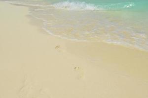 Blick auf den tropischen Strand foto