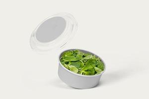 Essensbehälter zum Mitnehmen runder Kasten mit Gemüse und Obst, Kopierfläche für Ihr Logo oder Grafikdesign foto