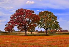Wunderschöner Panoramablick auf eine goldene Herbstlandschaft in Europa foto