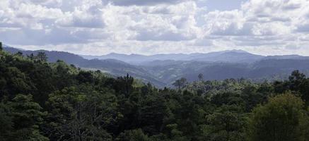 Regenwald und Berg- und Wolkenpanorama foto