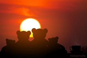 Silhouette zwei Bären und heißen Kaffee bei Sonnenaufgang foto