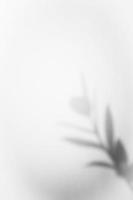 Blattschatten-Overlay-Hintergrunddesign. abstrakter natürlicher schatten für minimalistischen fotoeffekt foto