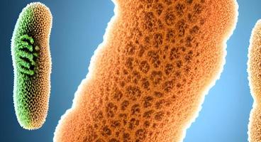 Bakterien, Viren oder Keime Mikroorganismenzellen. Wiedergabe foto
