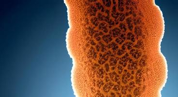 realistische mikroskopische viren verschiedener form auf blauem unscharfem hintergrund nahtlose musterillustration foto