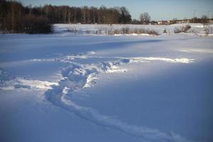 Weg im Schnee. schneebedecktes Feld. Winter in Russland. Schneedecke. foto