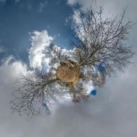 Herbst kleine Planetentransformation des sphärischen Panoramas 360 Grad. sphärische abstrakte Luftaufnahme im Wald mit ungeschickten Ästen. Krümmung des Raumes. foto