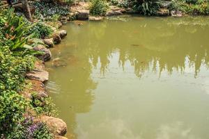 koi-fische in der dekorativen landschaftsgestaltung des gartenteichs foto