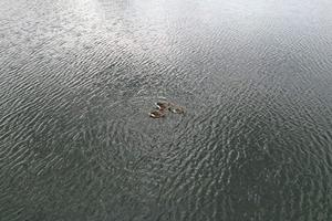 Erhöhte Ansicht von See und Landschaft bei Milton Keynes England foto