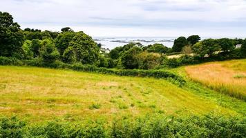 Abgeerntetes Feld an der Atlantikküste in der Bretagne foto