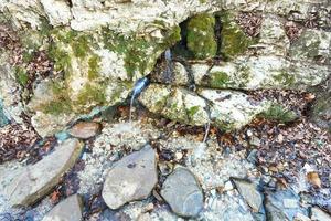 natürliche wasserquelle im kaukasus foto