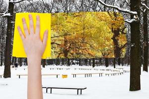 Hand löscht schneebedeckte Eichen durch gelbes Tuch foto