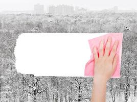 Hand löscht Winterwald durch rosa Lappen foto