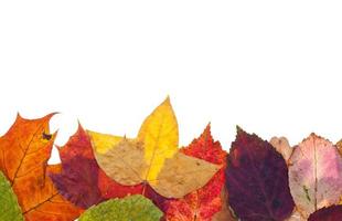 ein Seitenrahmen aus buntem Herbstlaub foto