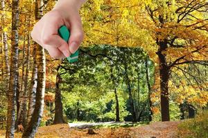 Radiergummi löscht Sommer- und Herbstwälder foto