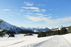 skispuren im schneewald in den alpen foto