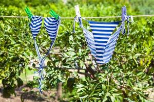 Badeanzüge trocknen im grünen Obstgarten auf Sizilien foto