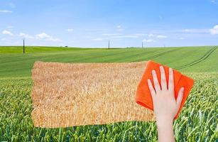 Hand löscht grünes Weizenfeld durch orangefarbenes Tuch foto