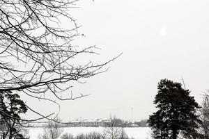 grauer bedeckter Himmel über schneebedecktem Landfeld foto