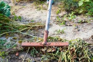 Reinigung des Gartens von getrocknetem Gras mit Rechen foto