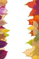 Zwei Seitenrahmen aus bunten Herbstblättern foto