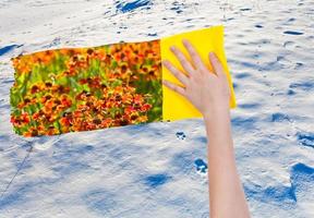 Tierspuren im Schnee foto