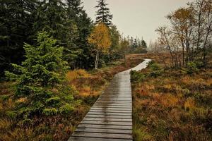 Moorland an einem regnerischen Tag foto