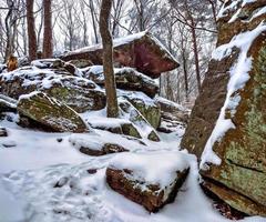 Winter im Wald foto