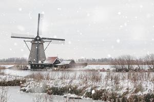 windmühlen in kinderdijk, niederlande im winter foto