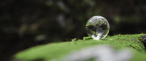 Kugelplanetenglas im grünen Wald mit Bokeh-Naturlichtern. Weltumwelttag. konzept des umweltschutzes, schutz der erde und der umwelt, umweltfreundliches lebensbanner und kopierraum foto