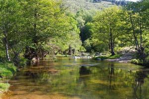 Fluss in der Türkei foto