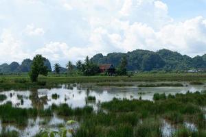 Landschaft der Ruhe und Schönheit des Naturlebens im Dorf foto