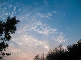 das bild des himmels mit wolken und bäumen in der bildecke nach sonnenuntergang foto