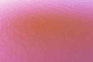 rosa Wasseroberfläche foto