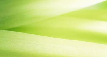 Closeup abstrakt Natur grün verschwommenen Hintergrund Natur-Blatt auf viel Grün Hintergrund mit Kopie Raum mit als Hintergrundbild Seite Konzept. foto